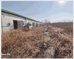  2025Ÿ50077  ʱ  õ 271-10      ,â