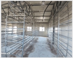  2025Ÿ50077  ʱ  õ 271-10      ,â