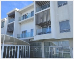  2025Ÿ��50329  ���ڽü����