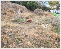  2025Ÿ��50930  �����