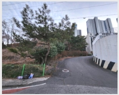  2025Ÿ��50930  �����