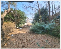  2025Ÿ��50930  �����