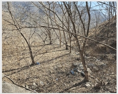  2025Ÿ50985    ġ 975      ()