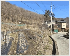  2025Ÿ50985    ġ 975      ()