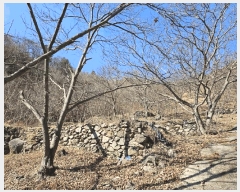  2025Ÿ50985    ġ 975      ()