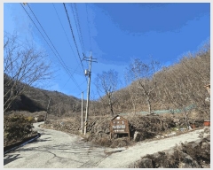  2025Ÿ50985    ġ 975      ()