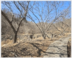  2025Ÿ50985    ġ 975      ()