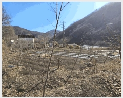  2025Ÿ50985    ġ 975      ()