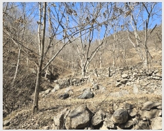  2025Ÿ50985    ġ 975      ()