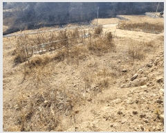  2025Ÿ��51061 ���� ����� ������ ������ 336-24      ����(��1)���