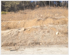  2025Ÿ��51061 ���� ����� ������ ������ 336-24      ����(��1)���