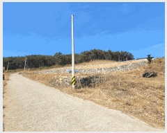  2025Ÿ��51061 ���� ����� ������ ������ 336-24      ����(��1)���