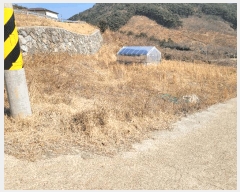  2025Ÿ��51061 ���� ����� ������ ������ 336-24      ����(��1)���