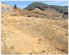  2025Ÿ��51061 ���� ����� ������ ������ 336-24      ����(��1)���