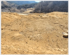  2025Ÿ��51061 ���� ����� ������ ������ 336-24      ����(��1)���