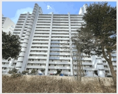  2025Ÿ51109  õ ʵ 766 ôƮ 103 8814ȣ    Ʈ