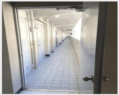  2025Ÿ51109  õ ʵ 766 ôƮ 103 8814ȣ    Ʈ