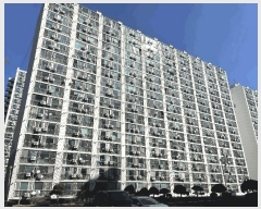  2025Ÿ51109  õ ʵ 766 ôƮ 103 8814ȣ    Ʈ