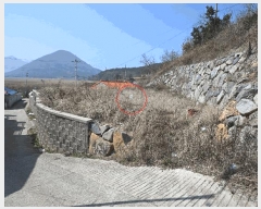  2025Ÿ��51181 ���� ������ ������ ��縮 ��269      ����(�Ӿ�)���