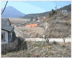  2025Ÿ��51181 ���� ������ ������ ��縮 ��269      ����(�Ӿ�)���