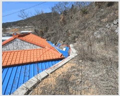  2025Ÿ��51181 ���� ������ ������ ��縮 ��269      ����(�Ӿ�)���