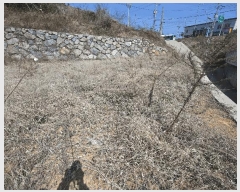  2025Ÿ��51181 ���� ������ ������ ��縮 ��269      ����(�Ӿ�)���