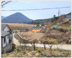  2025Ÿ��51181 ���� ������ ������ ��縮 ��269      ����(�Ӿ�)���