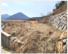  2025Ÿ��51181 ���� ������ ������ ��縮 ��269      ����(�Ӿ�)���