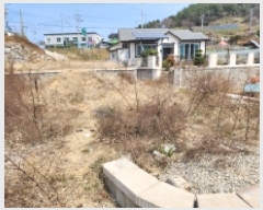  2025Ÿ��51181 ���� ������ ������ ��縮 ��269      ����(�Ӿ�)���