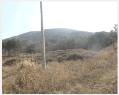  2025Ÿ��51187 ���� ������ ������ ��縮 1252-9      ����(��1)���