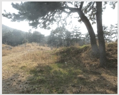  2025Ÿ��51187 ���� ������ ������ ��縮 1252-9      ����(��1)���