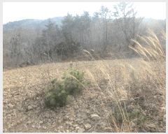  2025Ÿ��51187 ���� ������ ������ ��縮 1252-9      ����(��1)���