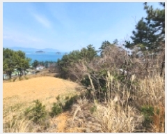  2025Ÿ��51187 ���� ������ ������ ��縮 1252-9      ����(��1)���