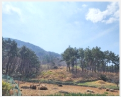  2025Ÿ��51187 ���� ������ ������ ��縮 1252-9      ����(��1)���