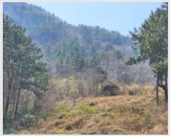  2025Ÿ��51187 ���� ������ ������ ��縮 1252-9      ����(��1)���