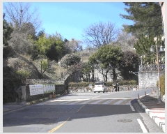  2025Ÿ��51211  �������