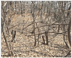  2025Ÿ��51217  �����