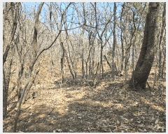  2025Ÿ��51217  �����