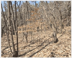  2025Ÿ��51217  �����