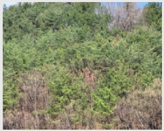  2025Ÿ��51217  �����