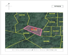  2025Ÿ��51217  �����