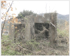  2025Ÿ51223  ﱺ ϸ õи 519      (1)