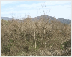  2025Ÿ51223  ﱺ ϸ õи 519      (1)