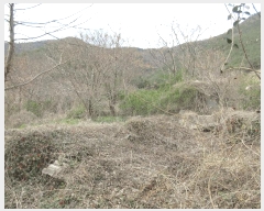  2025Ÿ51223  ﱺ ϸ õи 519      (1)