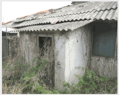  2025Ÿ51223  ﱺ ϸ õи 519      (1)