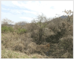  2025Ÿ51223  ﱺ ϸ õи 519      (1)