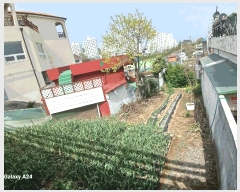  2025Ÿ51247   浿 1203-5       (1)