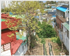  2025Ÿ51247   浿 1203-5       (1)