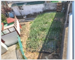  2025Ÿ51247   浿 1203-5       (1)