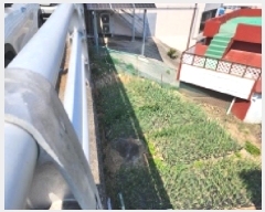  2025Ÿ51247   浿 1203-5       (1)